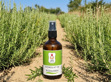 Hidrolat de Rozmarin 100ml. Descoperă strălucirea pielii tale! Să ne amintim că pielea noastră poartă poveștile tuturor clipelor trăite.