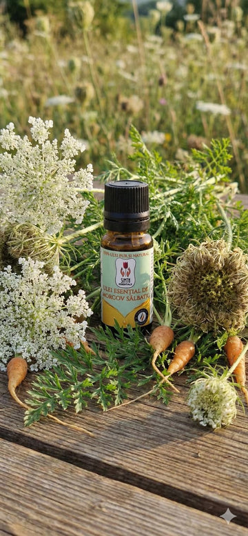 Ulei Esențial pur de Morcov Sălbatic – Elixirul Regenerării Absolute - 10ml
