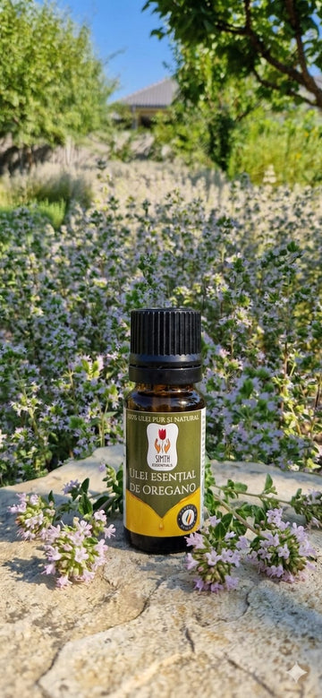 Uleiul esențial de Oregano (Origanum vulgare) - 10ml