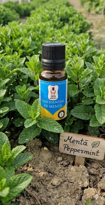 Ulei Esențial de Mentă Peppermint - 10ml
