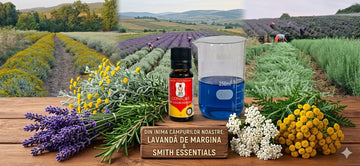 Mix de Uleiuri Esențiale „CONFORT FORTE” - 10 ml