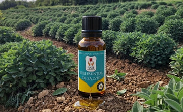 Ulei Esențial de Salvie Oficinală - 10ml. Lasă natura să-ți mângâie simțurile și să-ți umple casa cu armonie. Pentru suflet. Pentru liniște. Pentru tine.