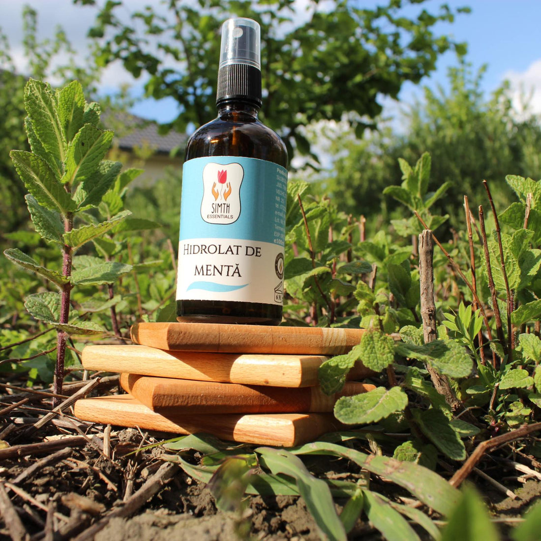 Hidrolat de Mentă 100ml. Descoperă strălucirea pielii tale! Să ne amintim că pielea noastră poartă poveștile tuturor clipelor trăite.